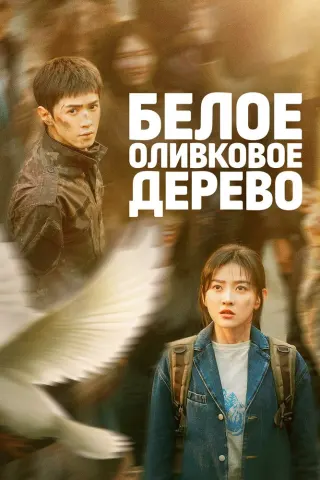 Смотрите дораму Белое оливковое дерево