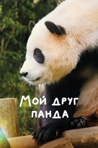 Смотрите дораму Мой друг панда