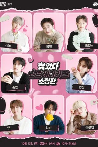 Смотрите дораму В поисках Stray Kids
